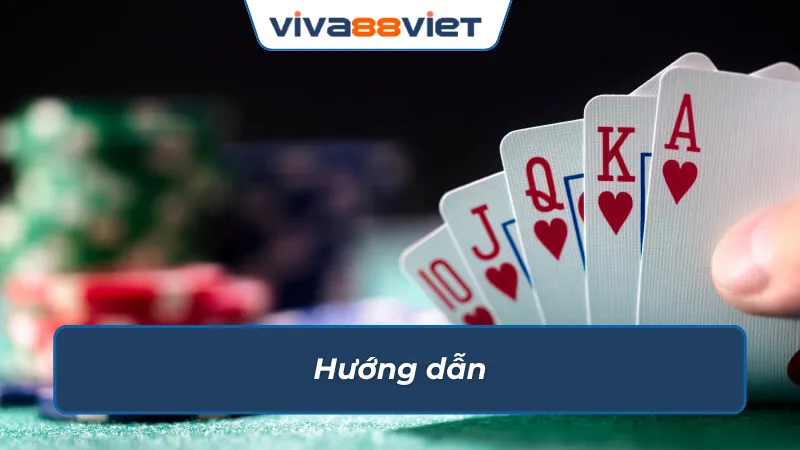 Kim chỉ nam giúp mọi cược thủ cá cược dễ dàng cùng nhà cái